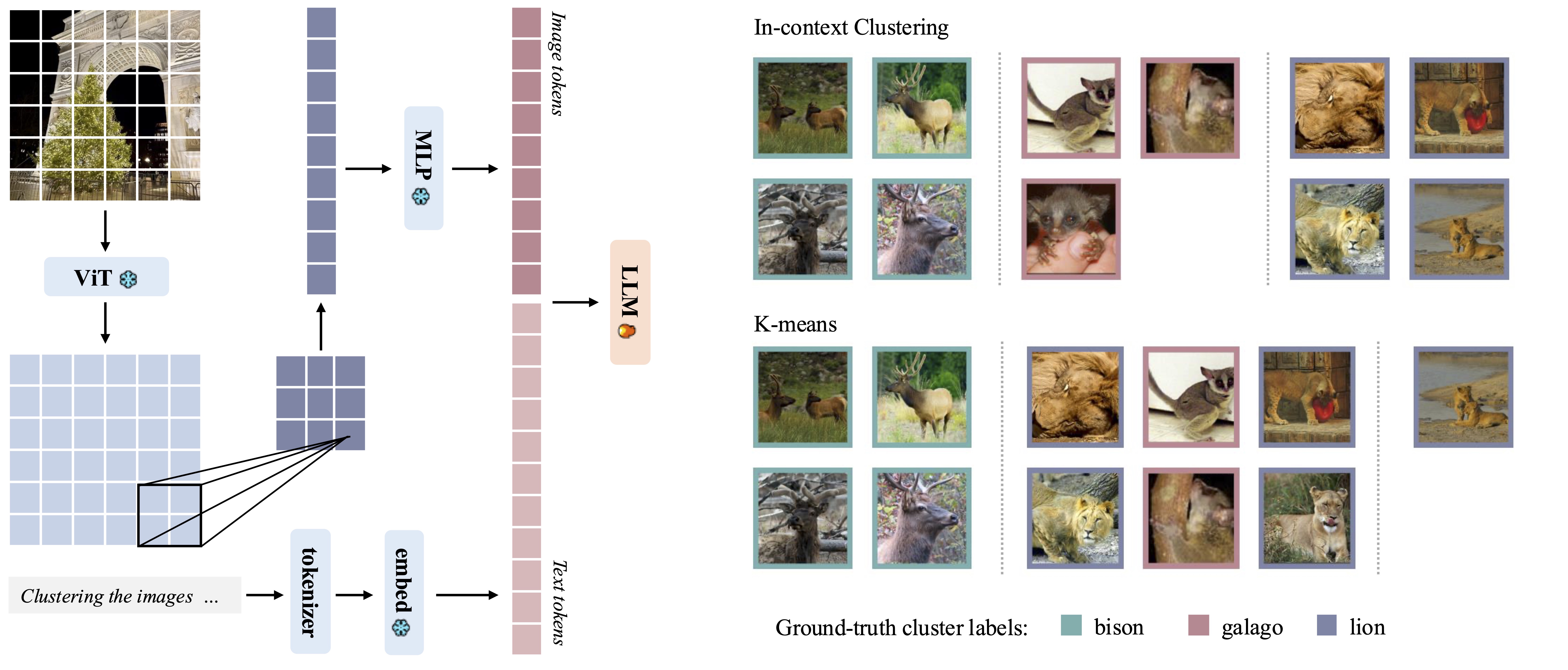 Image Clustering